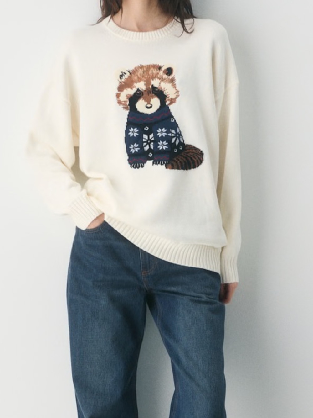 Aritiza Sunday Best Cotton Charm Peggy Icon Sweater X Small Raccoon Oversized